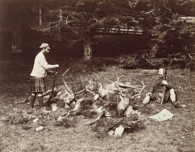 Wachten op de pony